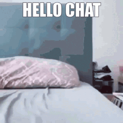 Cat Falling Over Hello Chat