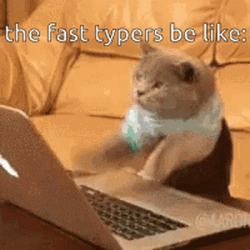 Cat Fast Computer Typing GIF