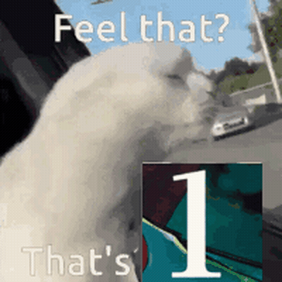 Cat Feel That That's 1 GIF