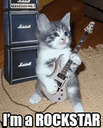 Cat Feelin Like A Rockstar GIF