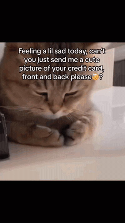 Cat Feeling A Lil Sad Today GIF