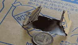 Cat Feet Get The Coin  GIF