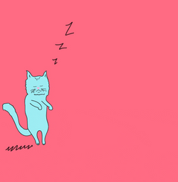 Cat Fell Asleep GIF