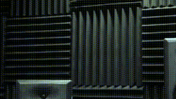 Cat Fight Star Trek Edit GIF