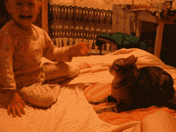 Cat Fight With A Baby GIF