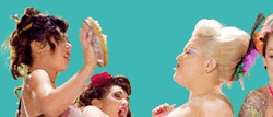 Cat Fight With Pie On Face GIF