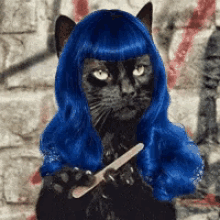 Cat Filing Nails Salem Sassy Blue Wig GIF