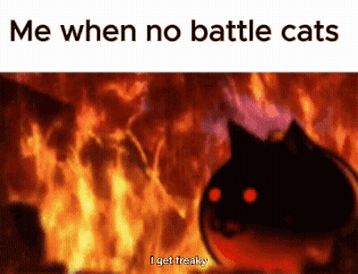Cat Fire Me When No Battle Cats Freaky GIF