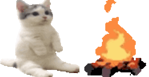 Cat Fire Sticker GIF