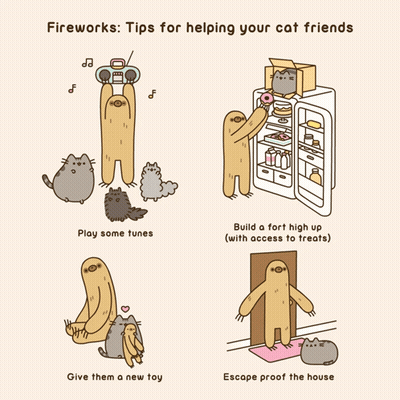Cat Fireworks Tips Play Tunes Give Toy GIF