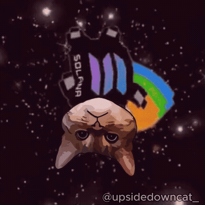 Cat Floating In Space With Solana Logo GIF