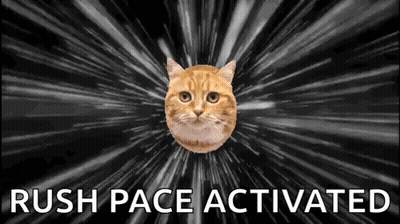 Cat Flying In Space Rush Pace Activated GIF