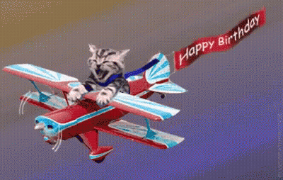 Cat Flying On Plane With Happy Birthday Banner GIF