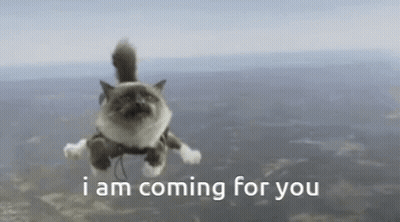 Cat Flying Saying I Am Coming For You GIF