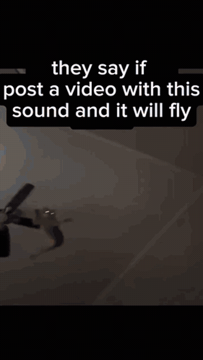 Cat Flying Through Air GIF