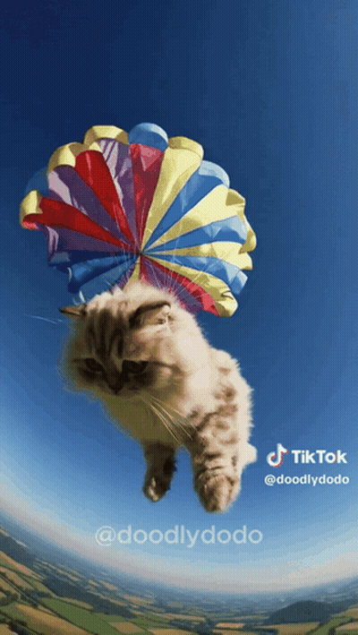 Cat Flying With Colorful Parachute GIF