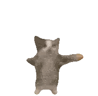 Cat Flying With Outstretched Arms Sticker
