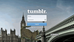Cat Follow London Bridge Tumblr GIF