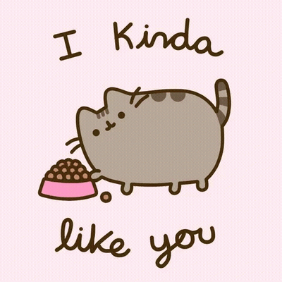 Cat Food Bowl Saying I Kinda Like You GIF