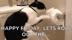 Cat Friday Lets Roll Out The Toilet Paper GIF