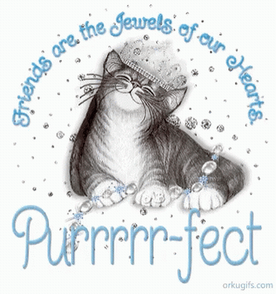 Cat Friends Are The Jewels Of Our Hearts GIF