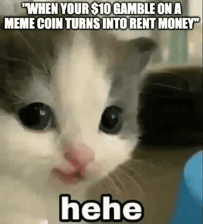 Cat Funny Face Meme Coin To Rent Money GIF