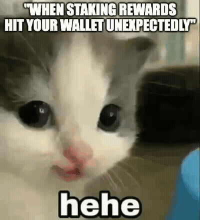 Cat Funny Face When Staking Rewards Hit Your Wallet Unexpectedly GIF