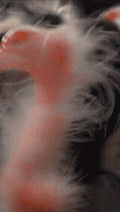 Cat Fur Close Up With Red Spot GIF