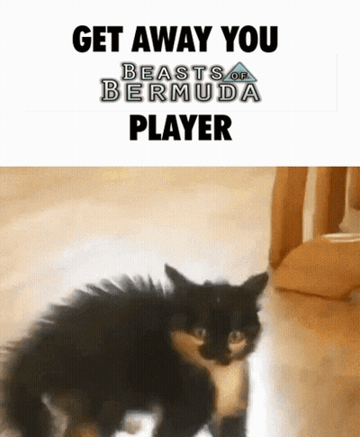 Cat Get Away You Beasts Of Bermuda Player GIF