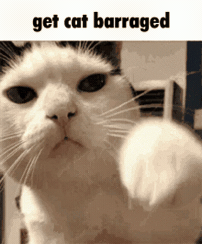 Cat Get Cat Barraged GIF