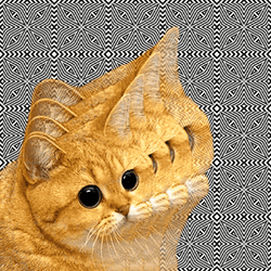 Cat Getting Bigger Illusion GIF