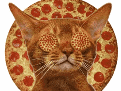Cat Getting Hypnotized By Pizza
