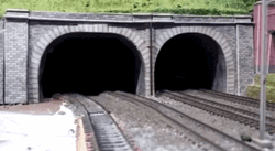 Cat Getting Out Of Train Tunnel  GIF