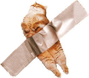 Cat Ginger Cat Sticker GIF
