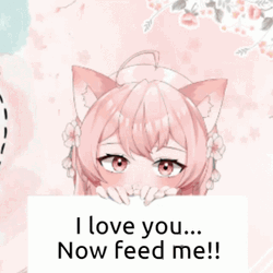 Cat Girl I Love You Feed Me  GIF