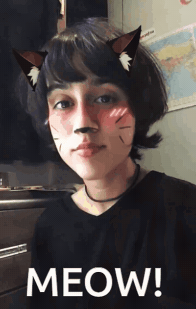 Cat Girl Real Cat GIF