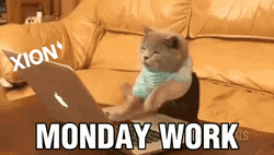 Cat Giving Extra Effort On Work Monday GIF