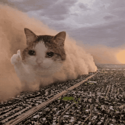 Cat Giving Middle Finger In Dust Storm GIF
