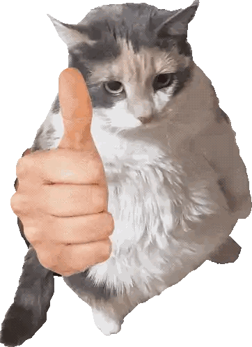 Cat Giving Thumbs Up Sticker