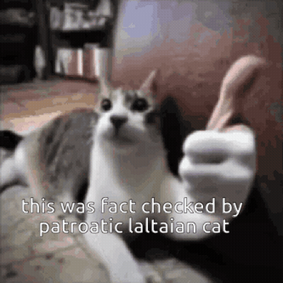 Cat Giving Thumbs Up On Couch GIF