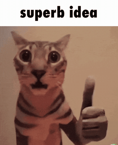 Cat Giving Thumbs Up Saying Superb Idea GIF