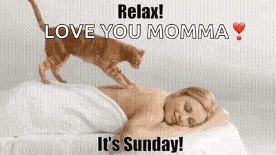 Cat Giving Woman Massage Sunday GIF
