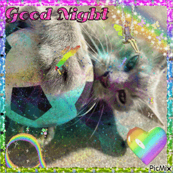 Cat Good Night GIF