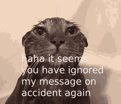 Cat Haha You Ignored My Message On Accident Again GIF