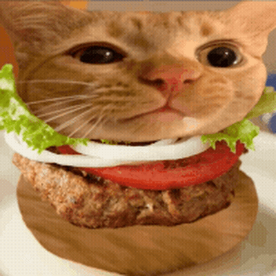 Cat Hamburger With Lettuce Tomatoes Onions GIF