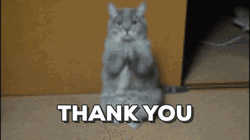 Cat Handshake Animated Thank You GIF