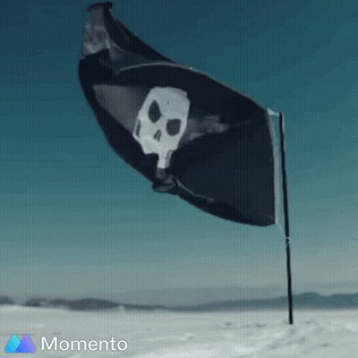Cat Hanging From Ceiling Hello Chat GIF