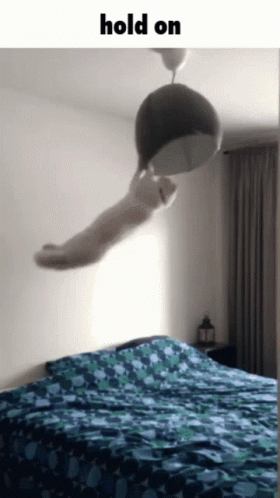 Cat Hanging From Lamp Saying Hold On GIF