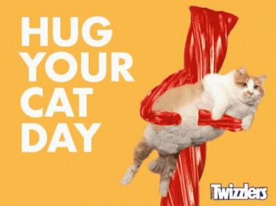 Cat Hanging From Red Candy Stick Hug Your Cat Day GIF