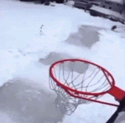 Cat Hanging From Tree Branch Saying Yep Just A Bit Windy GIF